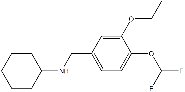 N-{[4-(difluoromethoxy)-3-ethoxyphenyl]methyl}cyclohexanamine 结构式