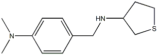 N-{[4-(dimethylamino)phenyl]methyl}thiolan-3-amine,,结构式
