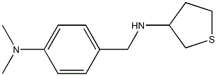 N-{[4-(dimethylamino)phenyl]methyl}thiolan-3-amine Struktur