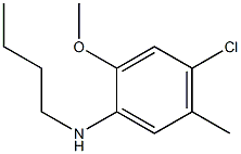 N-butyl-4-chloro-2-methoxy-5-methylaniline 化学構造式