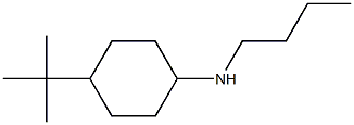 N-butyl-4-tert-butylcyclohexan-1-amine Struktur