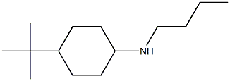 N-butyl-4-tert-butylcyclohexan-1-amine 结构式