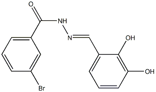  3-bromo-N'-[(E)-(2,3-dihydroxyphenyl)methylidene]benzohydrazide