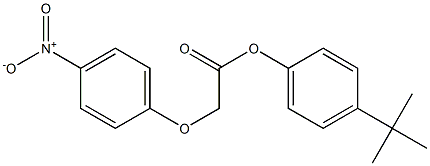 4-(tert-butyl)phenyl 2-(4-nitrophenoxy)acetate,,结构式