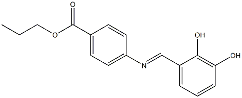 propyl 4-{[(E)-(2,3-dihydroxyphenyl)methylidene]amino}benzoate