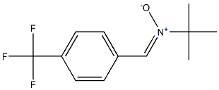 N-tert-Butyl-4-(trifluoromethyl)benzenemethaneimine N-oxide Struktur