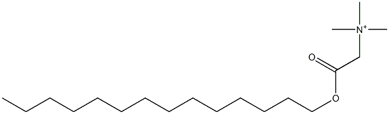 N,N,N-トリメチル-2-テトラデシルオキシ-2-オキソエタンアミニウム 化学構造式