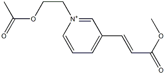  3-(2-Methoxycarbonylethenyl)-1-(2-acetyloxyethyl)pyridinium