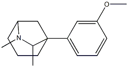 6,7-Dimethyl-1-(3-methoxyphenyl)-6-azabicyclo[3.2.1]octane