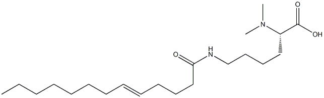 N6-(5-トリデセノイル)-N2,N2-ジメチルリシン 化学構造式