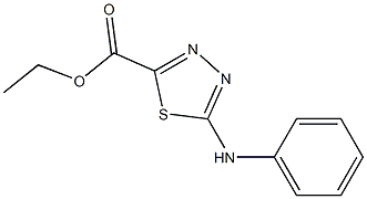 5-(Phenylamino)-1,3,4-thiadiazole-2-carboxylic acid ethyl ester Structure
