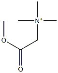  Methoxycarbonylmethyltrimethylammonium