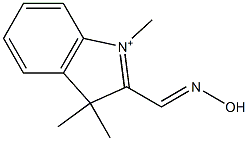 1,3,3-トリメチル-2-(ヒドロキシイミノメチル)-3H-インドリウム 化学構造式