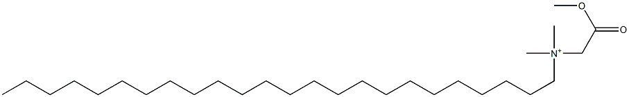 N-(メトキシカルボニルメチル)-N,N-ジメチル-1-テトラコサンアミニウム 化学構造式