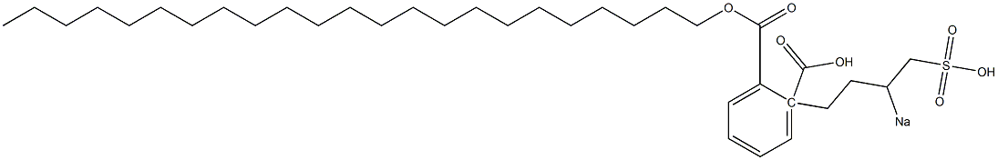 Phthalic acid 1-tricosyl 2-(3-sodiosulfobutyl) ester Struktur