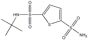 N-tert-Butyl-5-sulfamoylthiophene-2-sulfonamide,,结构式