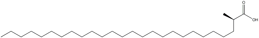 [R,(-)]-2-Methylhexacosanoic acid Struktur