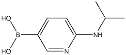 6-(isopropylamino)pyridin-3-ylboronic acid 化学構造式