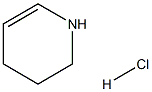 1,2,3,4-tetrahydropyridine hydrochloride Structure