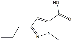 1-methyl-3-n-propyl-5-pyrazolecarboxylic acid|1-甲基-3-正丙基-5-吡唑羧酸