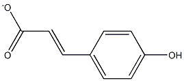 P-hydroxycinnamate