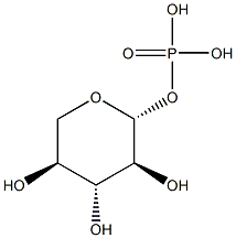 b-L-Xylose-1-phosphate Struktur