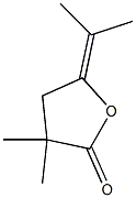 5-Isopropylidene-3,3-dimethyl-dihydrofuran-2-one