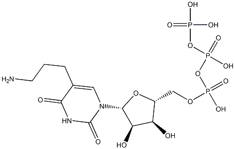 5-(3-aminopropyl)uridine triphosphate|