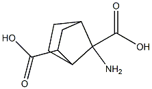 7-aminobicyclo(2.2.1)heptane-2,7-dicarboxyxlic acid 结构式