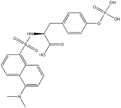 N-(5-(dimethylamino)naphthylsulfonyl)phosphotyrosine 结构式