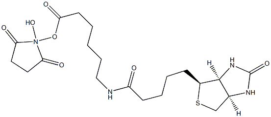 N-hydroxysuccinimidyl 6-biotinylaminohexanoate Structure