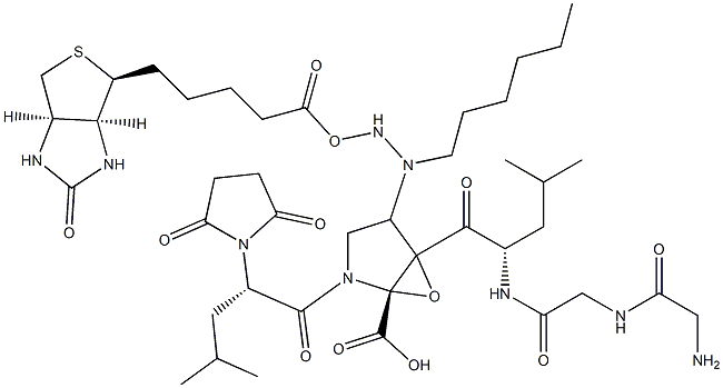 biotin-aminohexylamino-glycyl-glycyl-leucyl-epoxysuccinyl-leucyl-proline