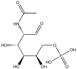 2-acetamido-2-deoxy-mannose-6-phosphat Structure