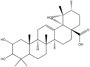 2,3,19-trihydroxy-12-ursen-28-oic acid