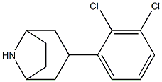 3-(2,3-dichlorophenyl)-8-azabicyclo[3.2.1]octane|