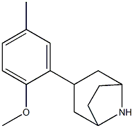 3-(2-methoxy-5-methylphenyl)-8-azabicyclo[3.2.1]octane Struktur