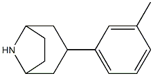 3-(3-methylphenyl)-8-azabicyclo[3.2.1]octane