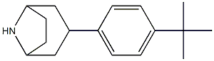  3-(4-tert-butylphenyl)-8-azabicyclo[3.2.1]octane