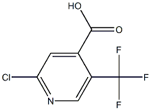 2-Chloro-5-(trifluoromethyl)-4-pyridinecarboxylic acid