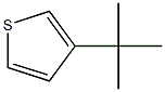 3-(1,1-dimethylethyl)thiophene 化学構造式