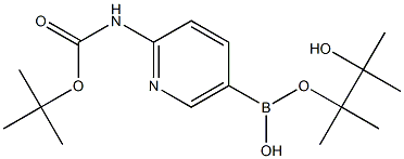 2-(BOC-AMINO)PYRIDINE-5-BORONIC ACID PINACOL ESTER,,结构式