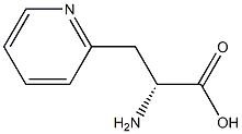 3-(2-PYRIDYL)-D-ALANINE, >98%