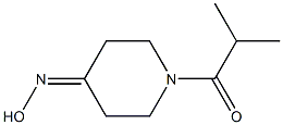 1-ISOBUTYRYLPIPERIDIN-4-ONE OXIME|