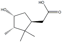 2-[(1S,3S,4R)-4-hydroxy-2,2,3-trimethyl-cyclopentyl]acetic acid|