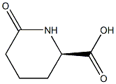 R/S-6-OXO-PIPERIDINE-2-CARBOXYLIC ACID|