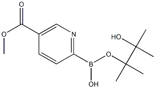 5-(METHOXYCARBONYL)PYRIDINE-2-BORONIC ACID PINACOL ESTER|