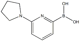 6-(PYRROLIDIN-1-YL)PYRIDINE-2-BORONIC ACID