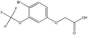  (4-BROMO-3-TRIFLUOROMETHOXY-PHENOXY)-ACETIC ACID