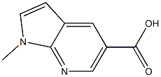 1-METHYL-1H-PYRROLO[2,3-B]PYRIDINE-5-CARBOXYLIC ACID 化学構造式