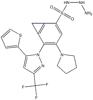 N1-hydrazino(tetrahydro-1H-pyrrol-1-yl)methylidene-4-[5-(2-thienyl)-3-(trifluoromethyl)-1H-pyrazol-1-yl]benzene-1-sulfonamide Struktur